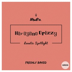 Havayano Drizzy - Lunatic Spotlight (Original Mix)