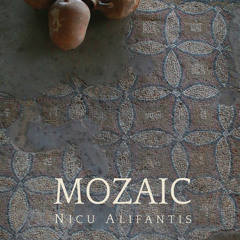 Nicu Alifantis-Mozaic