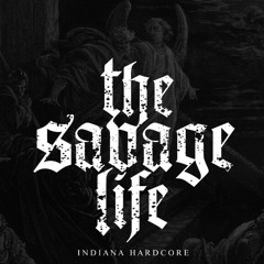 Sharks in the Water.mp3