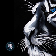 BLAQ PYRAMID on MelodicTronic FM