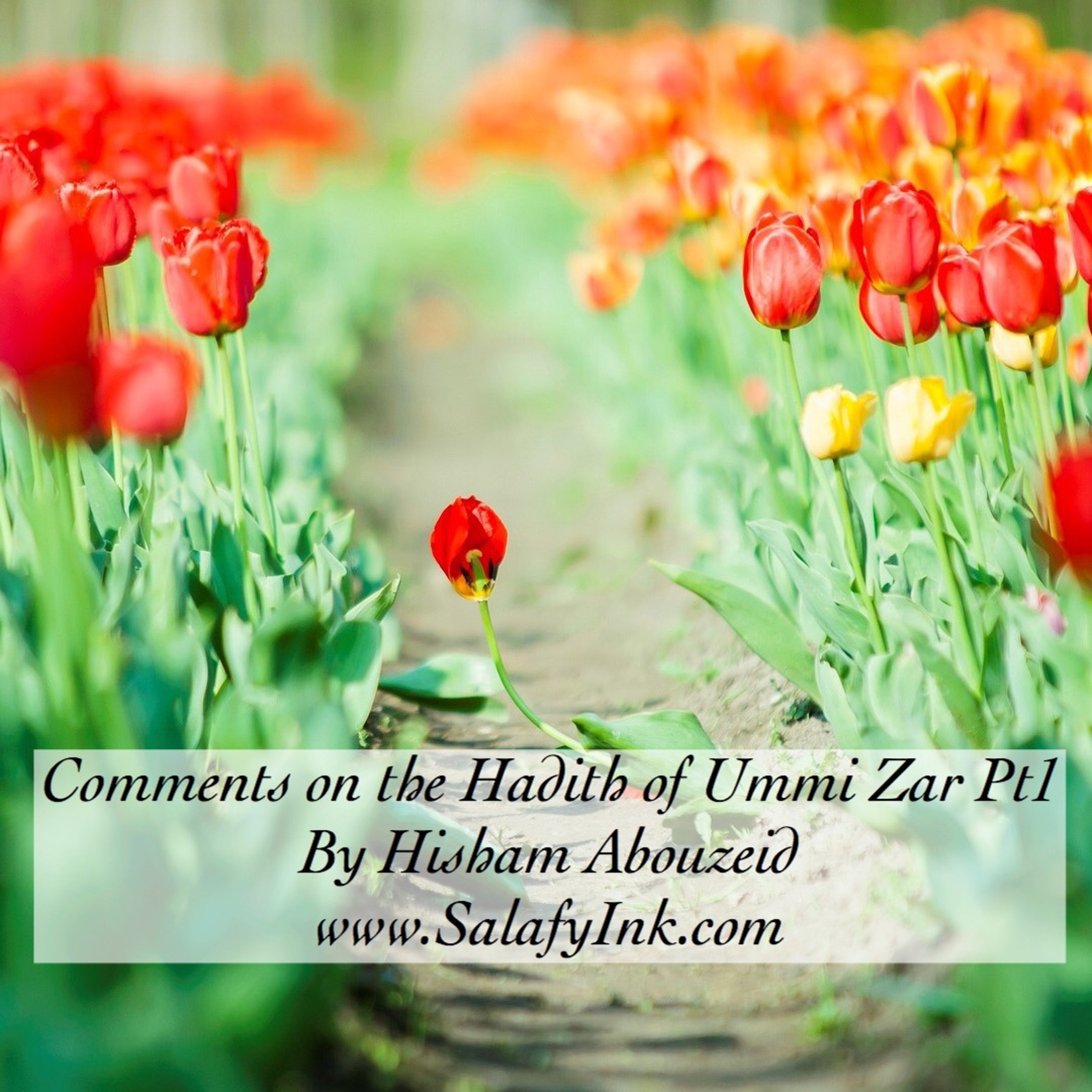 Comments on the Hadith of Ummi Zar Pt1 By Hisham Abouzeid episode artwork