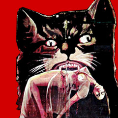 C.L.A.W.S. / Stygian Morass EP Stream (LHP-002)