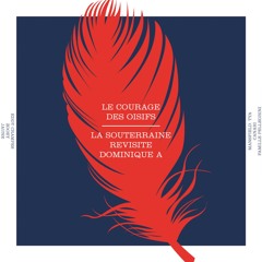 Chanson de la ville silencieuse (Dominique A cover)