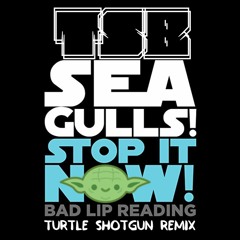 Seagulls (Stop It Now) [TSB Remix]