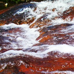FlowNotion