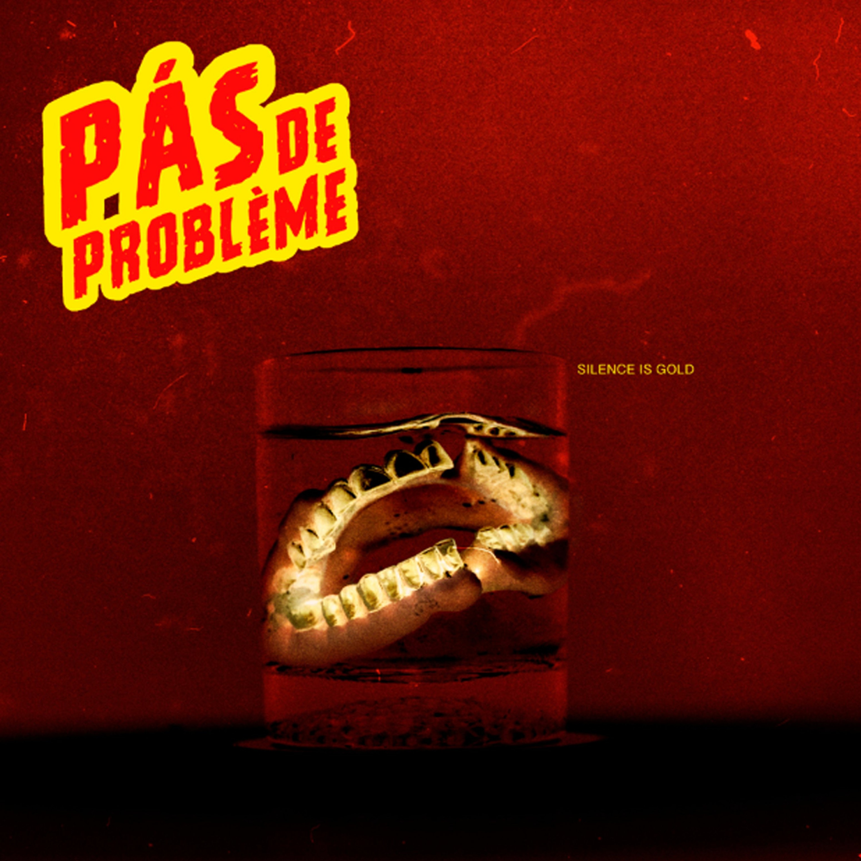 PÁS DE PROBLÈME