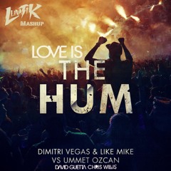 David Guetta Vs. Dimitri Vegas & Like Mike - Love Is Hum (Antoni Lunatik Mashup)