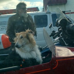 1.26.17 - The Best Thing I've Ever Written (Incomplete) - Comedy Is Liberty - Philadelphia, PA