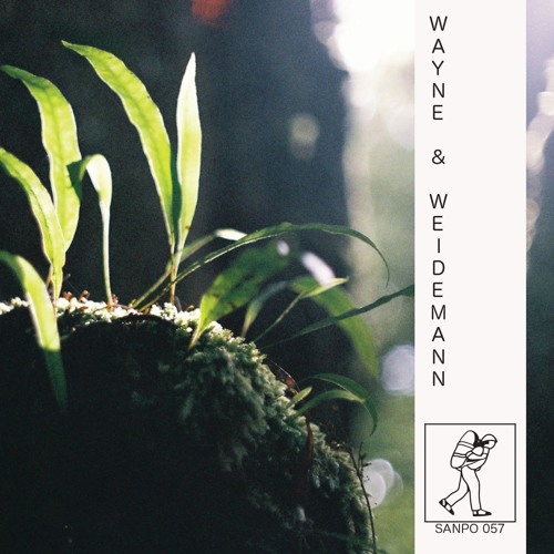WAYNE & WEIDEMANN - SANPO 057 (NTS 29/1/17 Pt. 2)