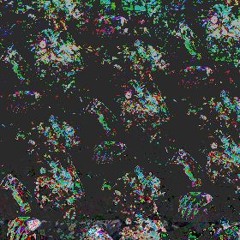 Rollerskates (A song for my cat)