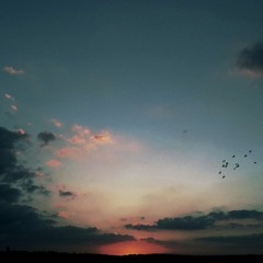 She say... (a Good Night).