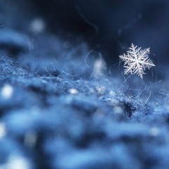 Winter Mix