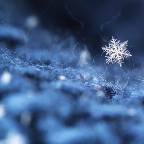 Winter Mix