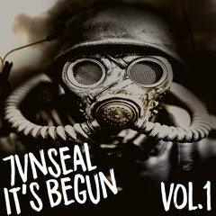 Black birds in the sky