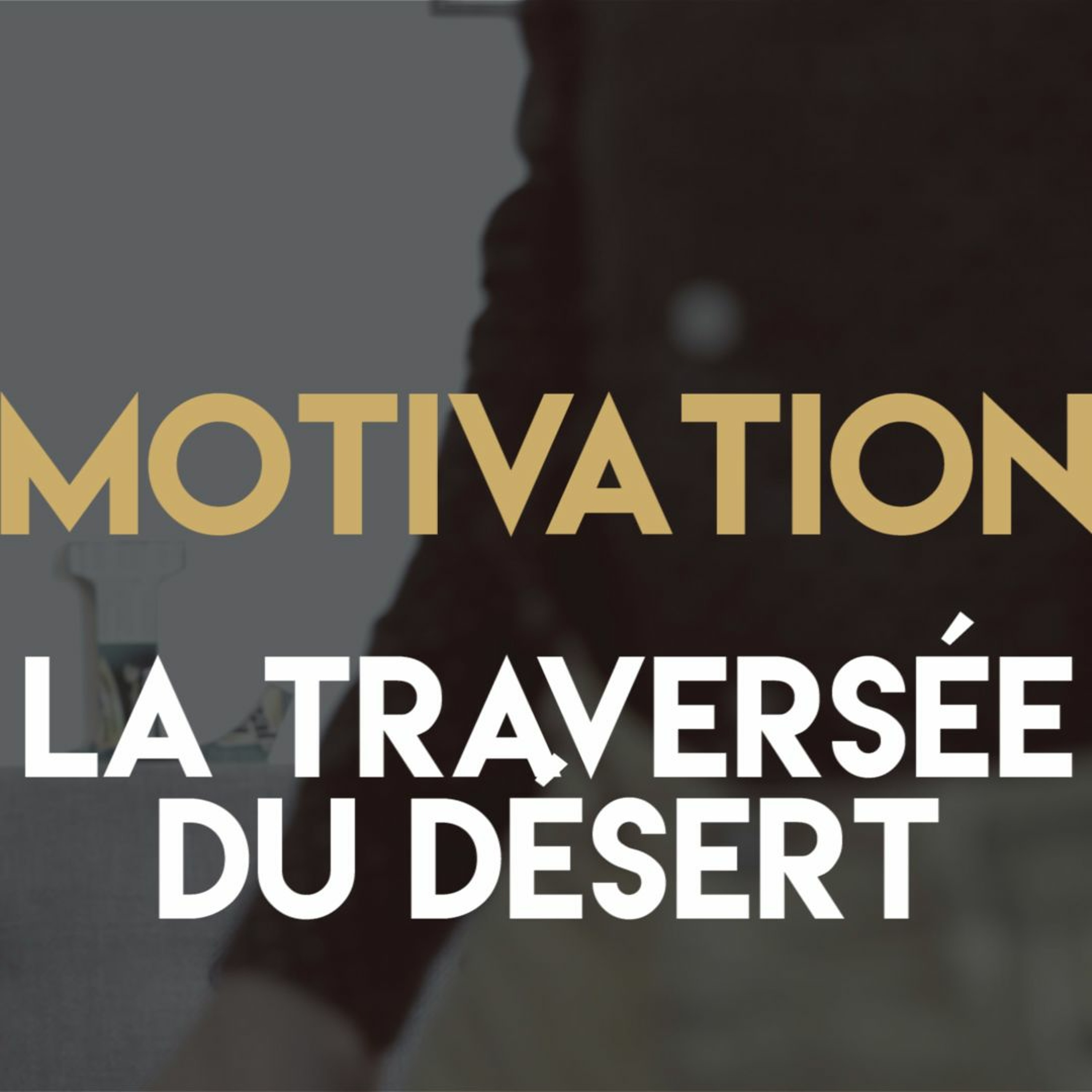Gentleman Motivateur - Freelance Motivation