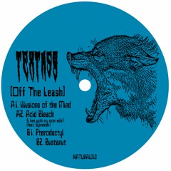 Textasy - 'Off The Leash' (Natural010)