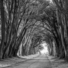 Turn Of The 19th Century