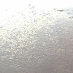 untitled strings and synthesizer