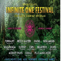 Infinite One Festival NZ New Years 2017