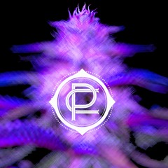 Deep Dreams (Live at Purple Couch Presents Goopsteppa)