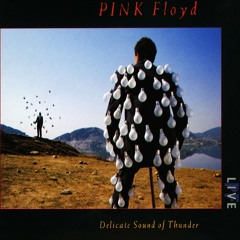 Delicate Sound Of Thunder Side 1