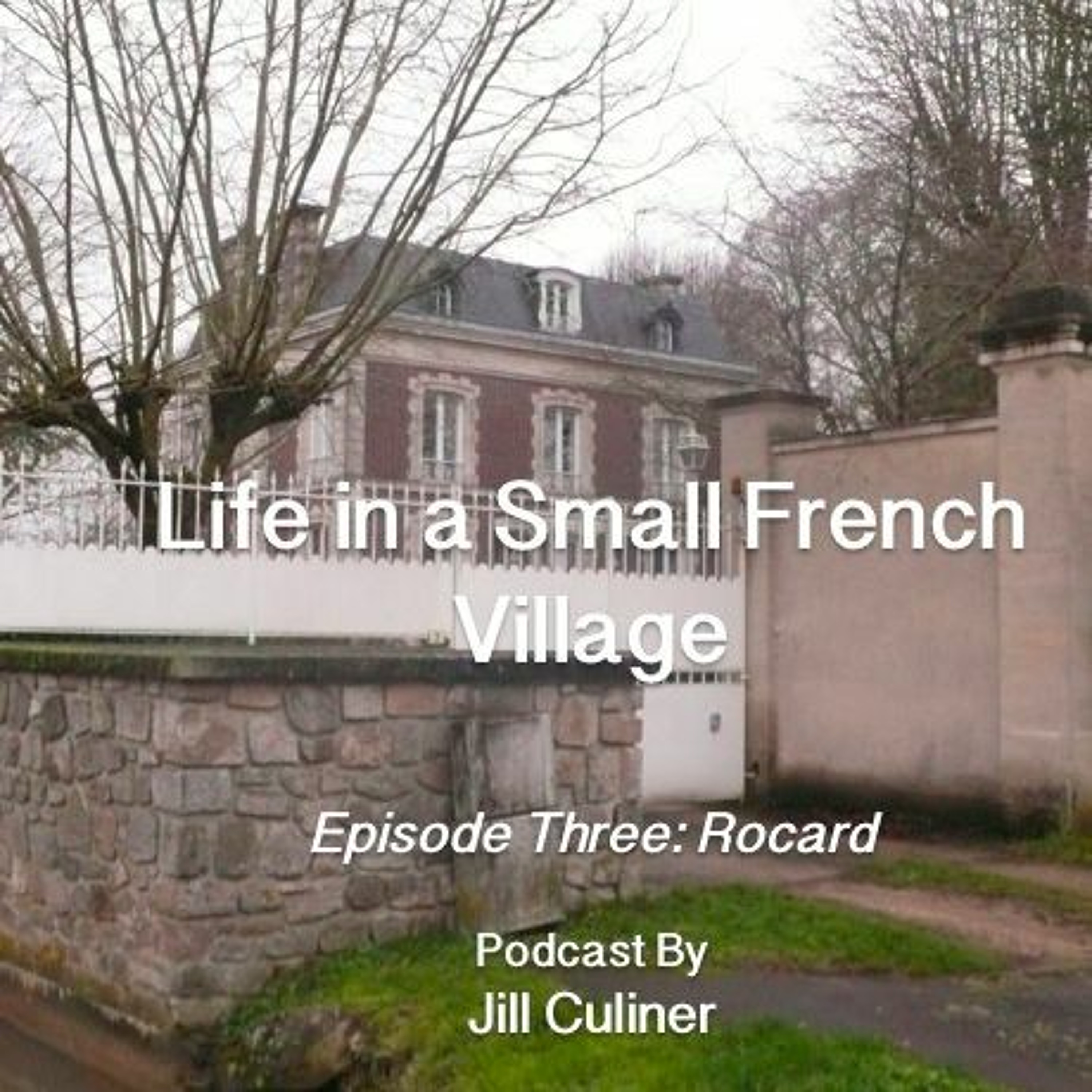 Stories/Travels