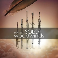 Auddict woodwinds on sale