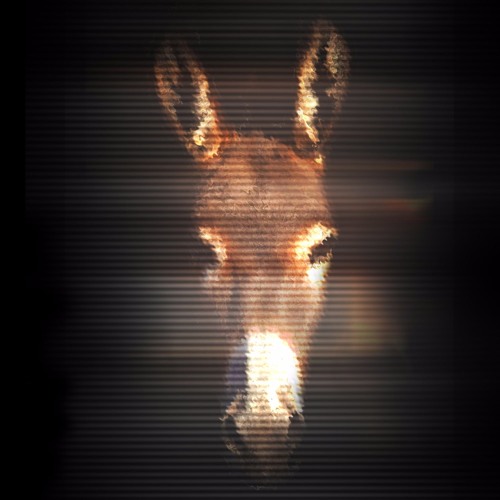 Donkey Tramp - Zero Basse (Original Mix)MP3 44100 320 KBit