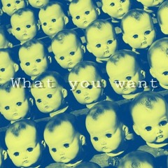 What you Want ( Free Download )