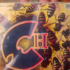 FAIXA 10 -  MARIA RUANA FEAT. JONH REGGAERO CD 2017 LANÇAMENTO CH WU TANG BRASIL