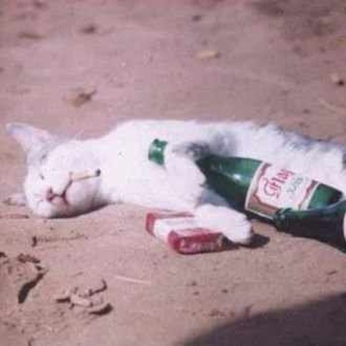 احلى مهرجان لحمد عبد السلام