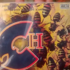 FAIXA 17 RINDO DEPOIS FEAT. VULGO MOUSE CD 2017 LANÇAMENTO CH WU TANG BRASIL