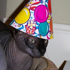 badical radical party timez