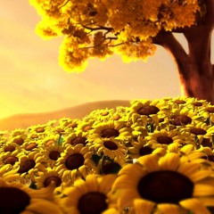 Pablo Martinez (PM) @ Have A Nice Day