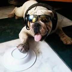 A G U A -  CARPE / HATRAPADAH /KAISER