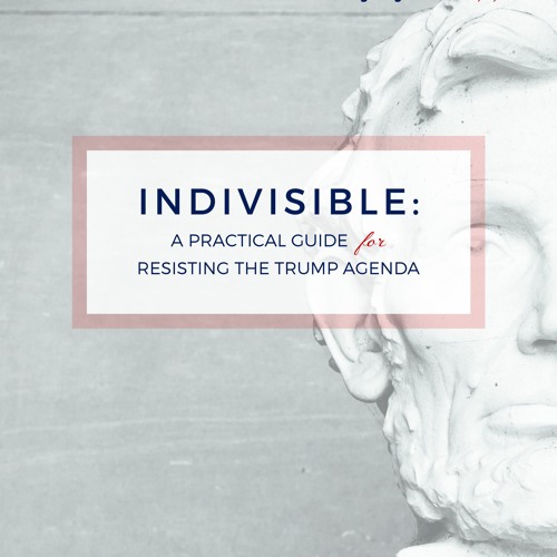 Indivisible Guide Audiobook by Indivisible Team Free Listening on