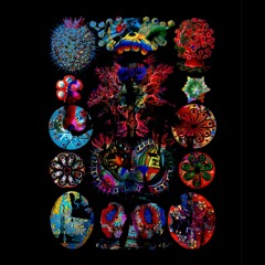 Dun D Place ft Stylo G