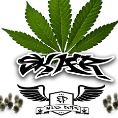 08 Wenn ich rappe feat. Gold (Salutary Remix)