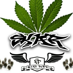 04 Salutary feat. Gold