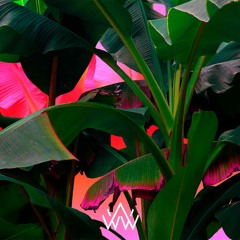 Jaxxtone - Many Things [WVS Premiere]