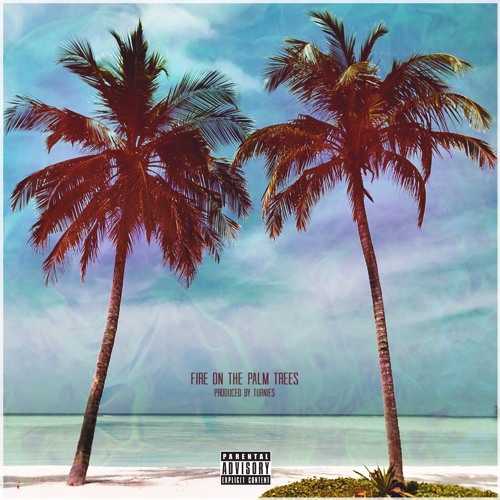 Notebook. - "Fire On The Palm Trees" (Produced By Turnies)