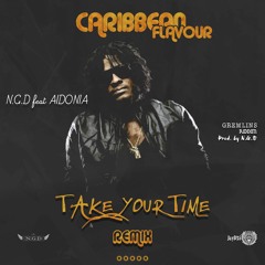 N.G.D ft Aidonia - Take Your Time Remix - Caribean Flavour's sound (Gremlins Riddim)