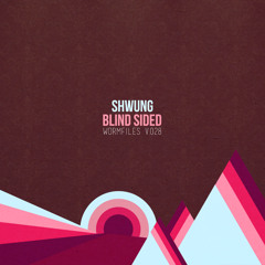 Shwung - Blind Sided