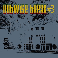 Dubwise Break #3