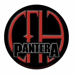 Pantera - Floods Solo (Dimebag Gear Tone Test)