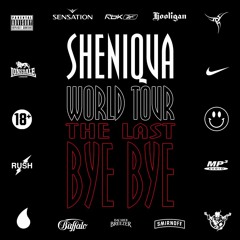 THE LAST BYE BYE