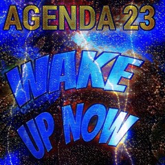 Wake Up Now (instrumental) - AGENDA 23