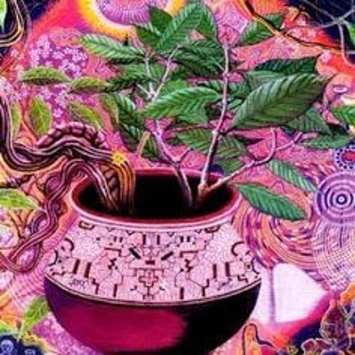 AYAHUASCA (Léo Artese)