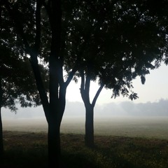 Rain Mashup-Tip Tip Barsa Pani.mp3