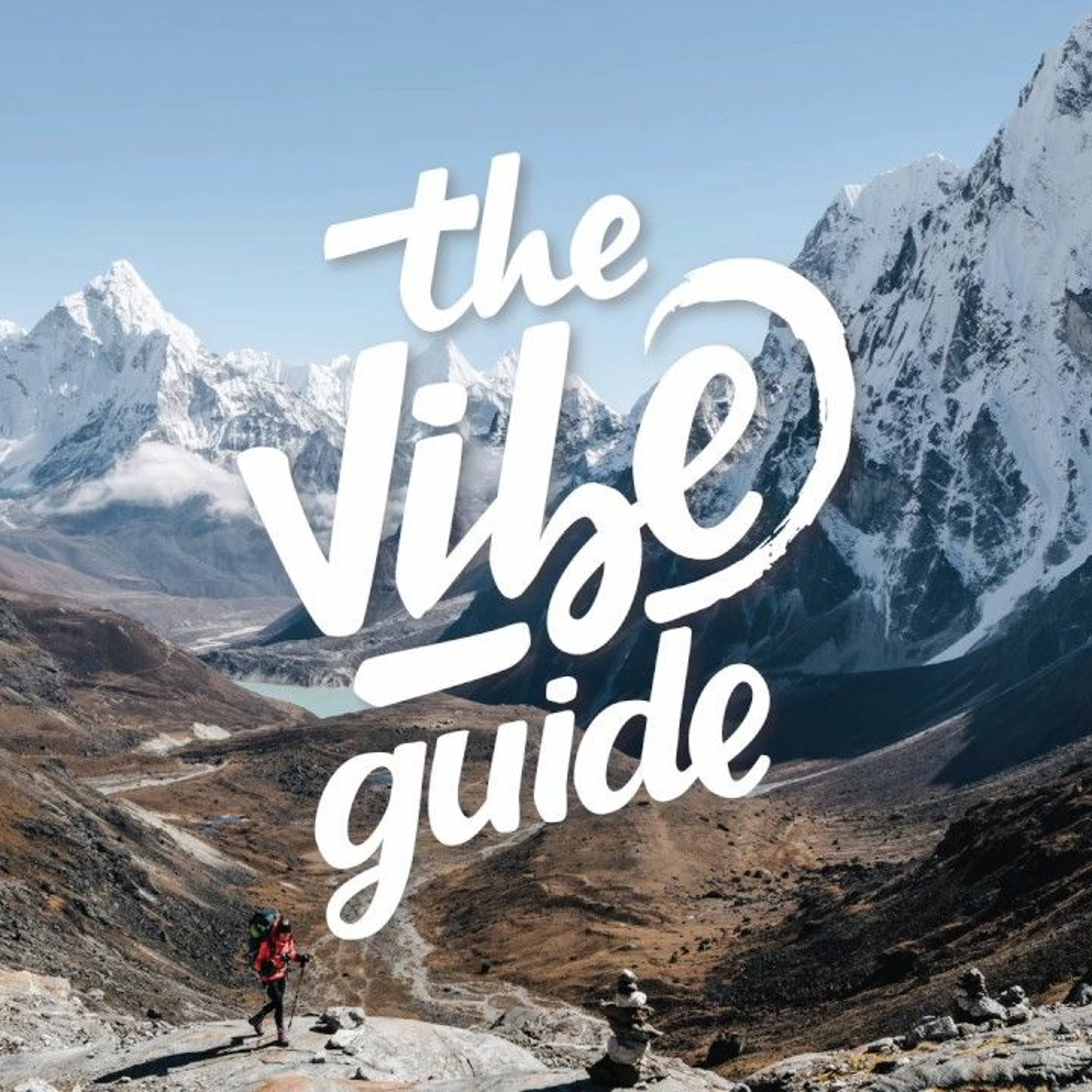 THE VIBE GUIDE